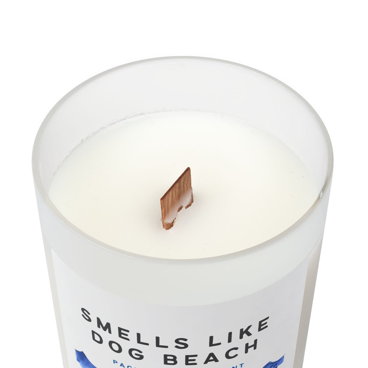 Smells Like Dog Beach Frosted Glass Candle — Pacific Ocean Scent, 11oz